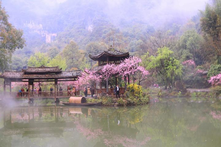 知识星球平台——探索为什么儒家思想不能称之为一种宗教,尽享学习乐趣